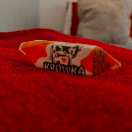 Petit 1 Bed Room Condo Warszawa Center エクステリア 写真